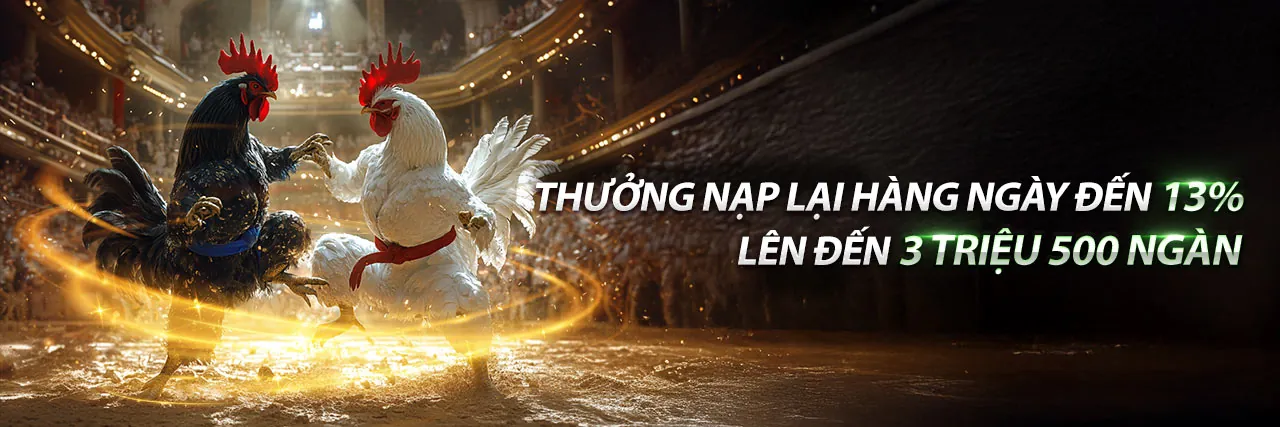 Hình ảnh đại diện cho Tuân thủ GDPR và bảo mật dữ liệu tại mig88 đăng nhập