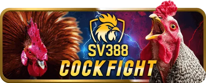 Hỗ Trợ Qua Điện Thoại Mig88